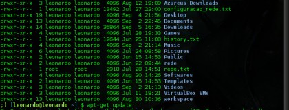 Um prompt bash colorido com retorno dos comandos em smiles