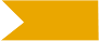 bandeira_amarela.png